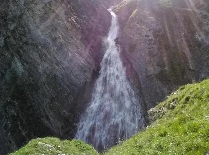 Haus Viola Appartement