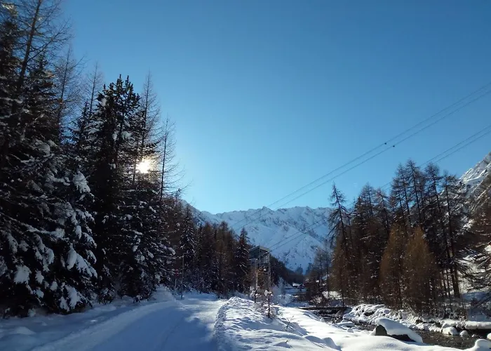 Haus Viola Apartman Samnaun